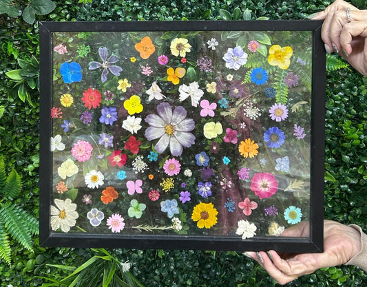 🌸 Why a Pressed Flower Workshop Might Be Exactly What You Need
